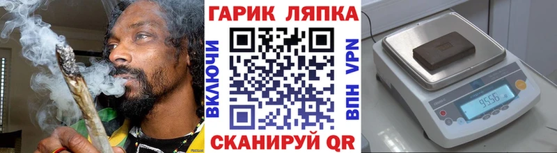 ГАШ Изолятор Вязьма