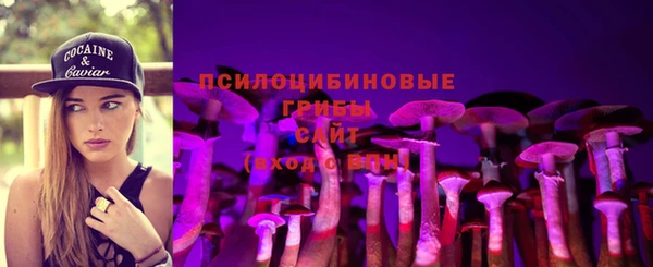 амф Покачи