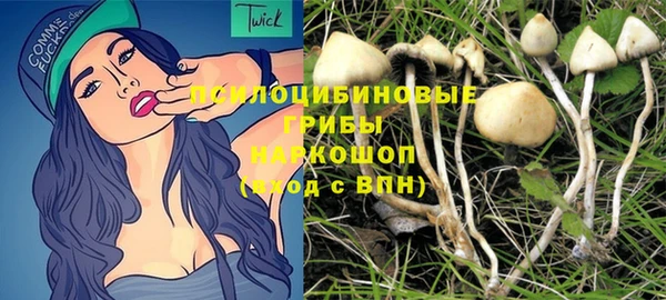 эйфоретик Алзамай