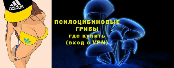 эйфоретик Алзамай