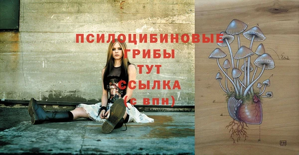 эйфоретик Алзамай