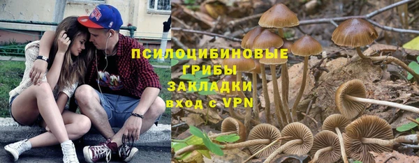 крисы Алексин