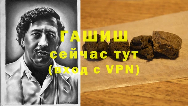 гидра Алексеевка