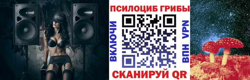 Купить  Вязьма  Галлюциногенные грибы Psilocybine cubensis 